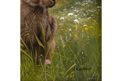 Signature image, click to enlarge