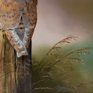 Signature image, click to enlarge