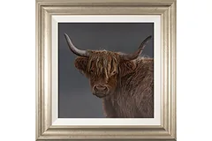 Large image, click to enlarge