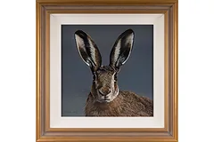 Large image, click to enlarge