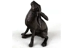 No frame image, click to enlarge