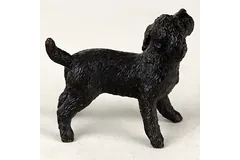 No frame image, click to enlarge