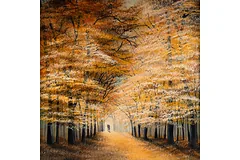 No frame image, click to enlarge