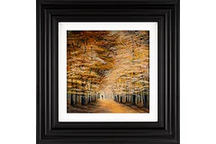 Large image, click to enlarge