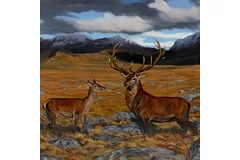 Signature image, click to enlarge