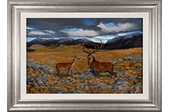 Large image, click to enlarge