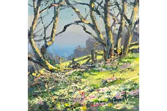 No frame image, click to enlarge