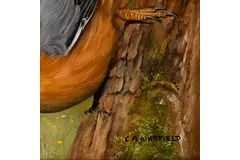 Signature image, click to enlarge