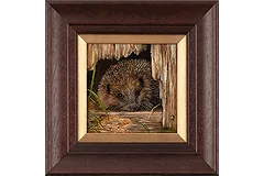 Large image, click to enlarge