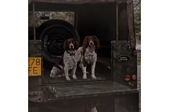 No frame image, click to enlarge