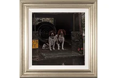 Large image, click to enlarge