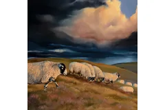 Signature image, click to enlarge