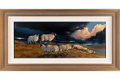 Large image, click to enlarge
