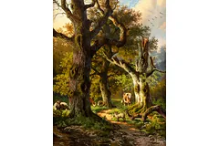 No frame image, click to enlarge