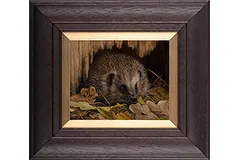 Large image, click to enlarge