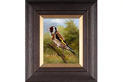 Large image, click to enlarge