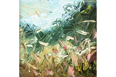 No frame image, click to enlarge