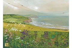 Large image, click to enlarge