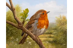 No frame image, click to enlarge