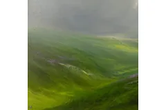 Signature image, click to enlarge