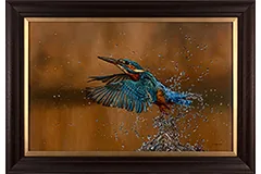 Large image, click to enlarge