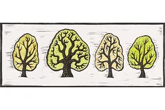 No frame image, click to enlarge