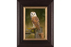 Carl Whitfield, Original oil painting on panel, Barn Owl