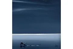 Signature image, click to enlarge