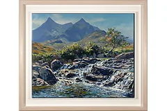 Large image, click to enlarge