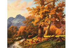 No frame image, click to enlarge