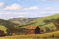 No frame image, click to enlarge
