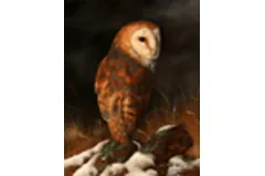 Large image, click to enlarge