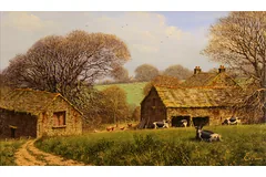 No frame image, click to enlarge