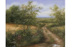 No frame image, click to enlarge