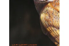Signature image, click to enlarge