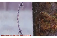 Signature image, click to enlarge