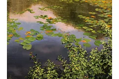 Signature image, click to enlarge