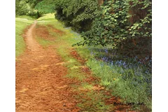 Signature image, click to enlarge