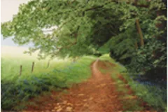 Large image, click to enlarge