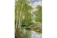 No frame image, click to enlarge