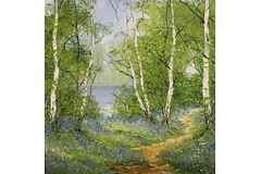 No frame image, click to enlarge