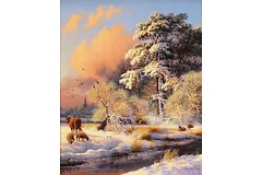 No frame image, click to enlarge