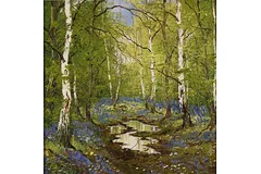 No frame image, click to enlarge