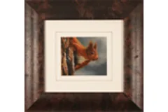 Large image, click to enlarge