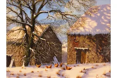 No frame image, click to enlarge