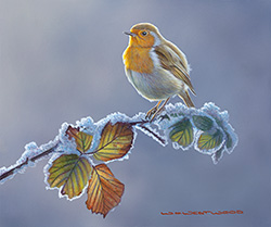Large image, click to enlarge