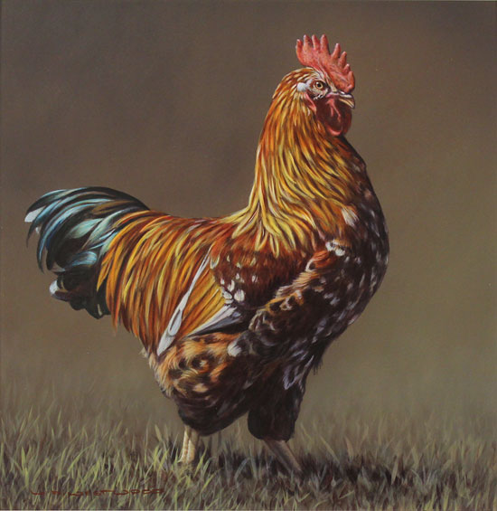 Wayne Westwood, Original oil painting on panel, The Cockerel Without frame image. Click to enlarge