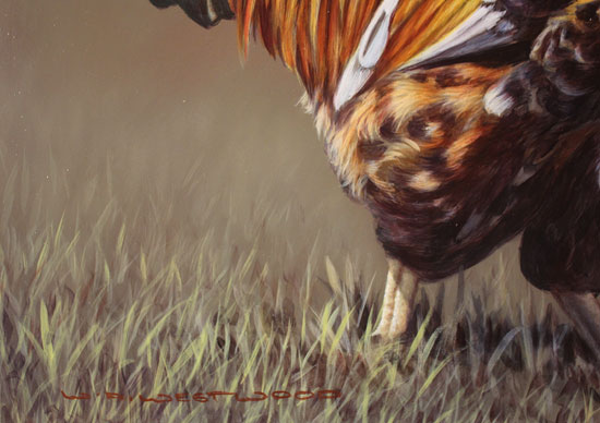Wayne Westwood, Original oil painting on panel, The Cockerel Signature image. Click to enlarge
