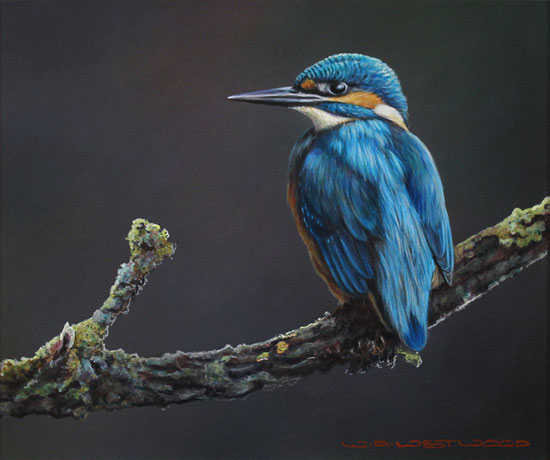 Wayne Westwood, Original oil painting on panel, Kingfisher