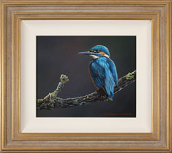 Wayne Westwood, Original oil painting on panel, Kingfisher